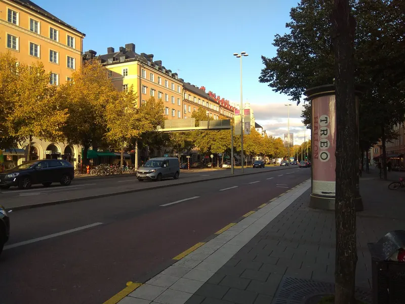 A city street lined with autumn trees in Stockholm